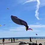 Appartamento T2 En Bord De - Les Capounades Narbonne-Plage