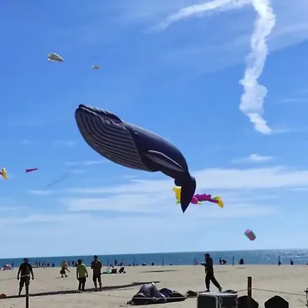 T2 En Bord De - Les Capounades * Narbonne-Plage