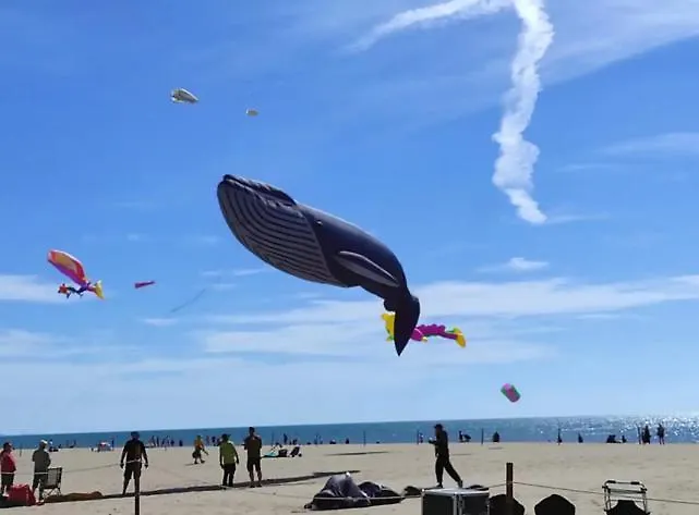 T2 En Bord De - Les Capounades * Narbonne-Plage